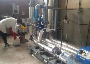Les r&eacute;sidus de l'ol&eacute;iculture transform&eacute;s en biocarburant par des chercheurs tunisiens