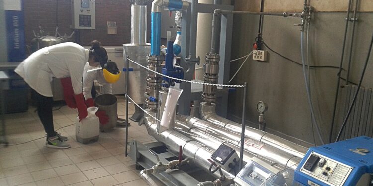 Les résidus de l'oléiculture transformés en biocarburant par des chercheurs tunisiens
