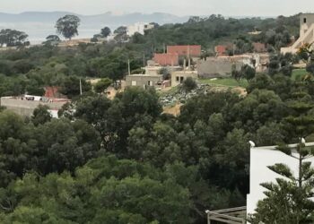 Destructions, impunit&eacute;, constructions anarchiques : Que se passe-t-il &agrave; la for&ecirc;t de Gammarth ?