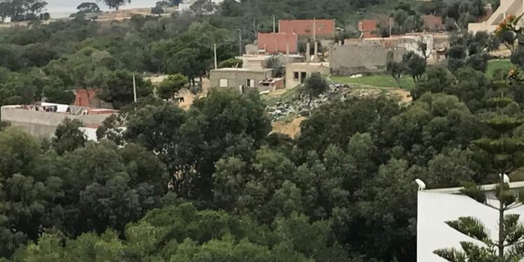 Destructions, impunité, constructions anarchiques : Que se passe-t-il à la forêt de Gammarth ?