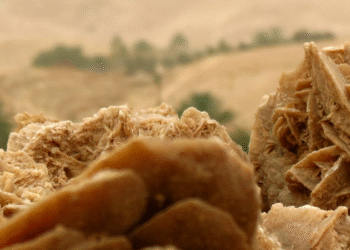 Une rose des sables pour commencer l'année !