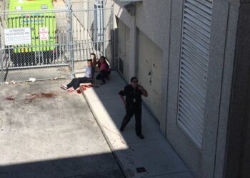 USA : Fusillade dans un aéroport en Floride, cinq morts et huit blessés (MAJ)