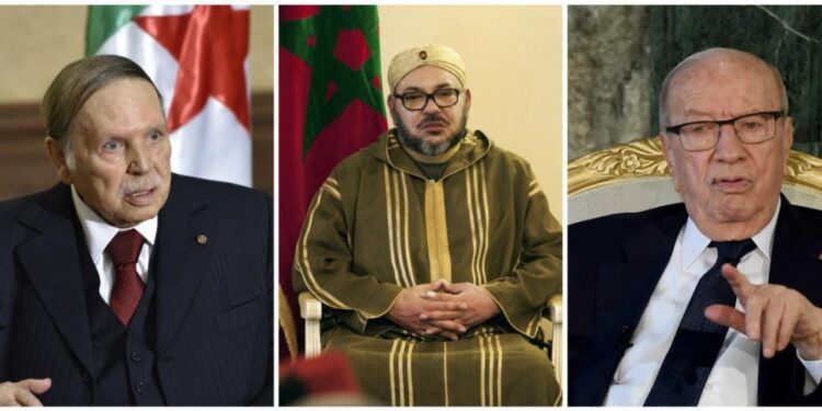 Deux députés français évoquent la "fragilité" des hommes au pouvoir au Maghreb Arabe