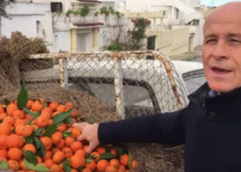 Quand l'ambassadeur de France fait la promotion des agrumes tunisiens