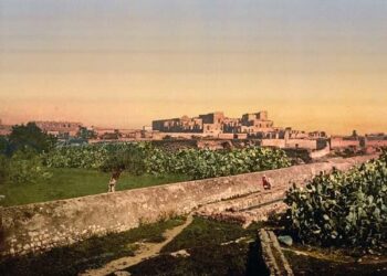 Ci-gît le palais beylical de la Mohamedia : Sur ces ruines fantasmait Sidna...