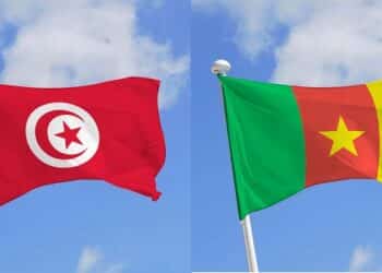 La Tunisie va aider le Cameroun &agrave; d&eacute;velopper les &eacute;nergies renouvelables