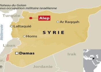 Syrie : Les soldats turcs et les rebelles pénètrent à Al-Bab, dernier bastion de Daech à Alep