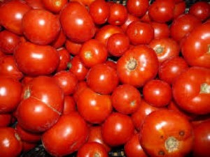 Gourmande en eau et en surproduction : Faut-il rompre avec la tomate ?