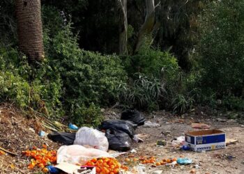 A Carthage, impasse, crasse et disgrâce !