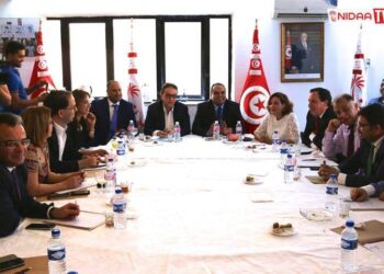 A Nidaa, la chasse &agrave; la taupe a commenc&eacute;