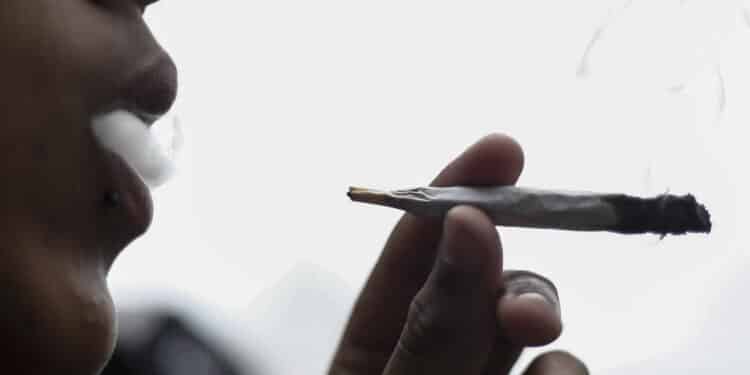Caid Essebsi veut gracier les condamn&eacute;s &agrave; la prison pour une premi&egrave;re consommation de cannabis