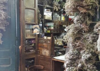 Souk el blat, paradis des herboristes et des potions magiques