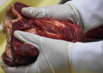 La Tunisie interdit l'importation de la viande en provenance de 21 entreprises br&eacute;siliennes
