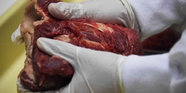 La Tunisie interdit l'importation de la viande en provenance de 21 entreprises brésiliennes