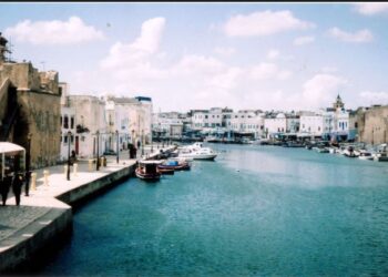 Bizerte : D&eacute;marrage, la semaine prochaine des travaux d&rsquo;&eacute;puration du vieux port
