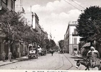 Disparue depuis deux siècles, Bab Al Djazira était l'une des plus anciennes portes de Tunis