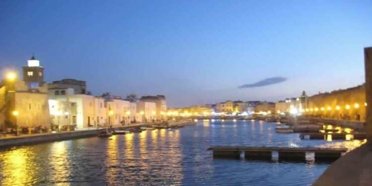 Bizerte, nouvelle "smart city" en Afrique ?
