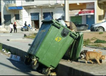 Tunisie : Importation de 30.000 conteneurs &agrave; d&eacute;chets