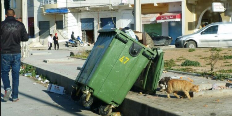 Tunisie : Importation de 30.000 conteneurs à déchets
