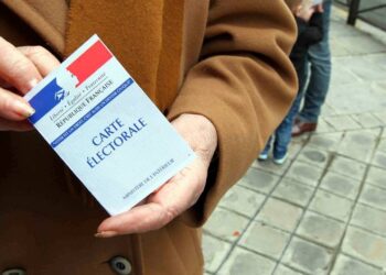Pr&eacute;sidentielle : Les Fran&ccedil;ais de Tunisie ont choisi Macron et M&eacute;lenchon