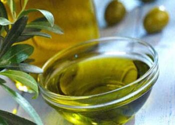 Tunisie : La production d&rsquo;huile d&rsquo;olives atteindra 100.000 tonnes, cette ann&eacute;e