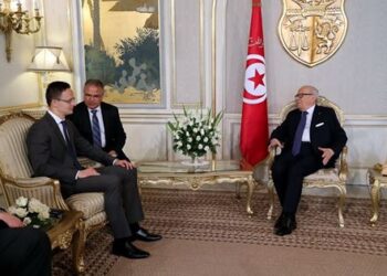 Une ligne de cr&eacute;dit hongroise de 255 M&euro; au profit de la Tunisie