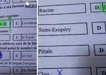 "Corneile" et "conc&eacute;quence" : Quand le fran&ccedil;ais est massacr&eacute; au concours du CAPES