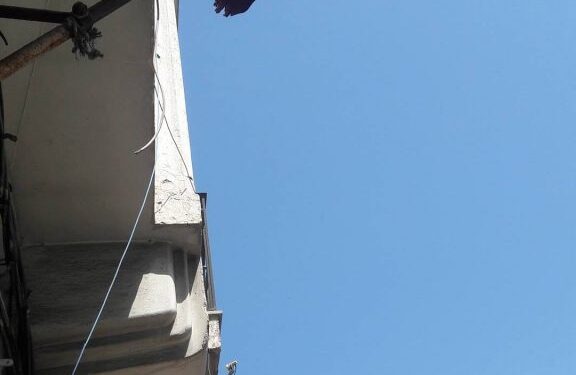 Honteux, consternant et dégradant : Toujours ces drapeaux délabrés !