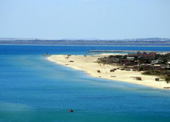A Bizerte, l'Etat se mobilise contre les installations anarchiques sur la plage de Sidi Ali el Mekki