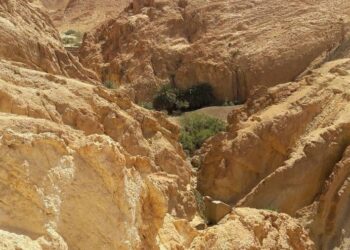 Evasion : Dans les méandres des oasis de montagne du sud-ouest tunisien