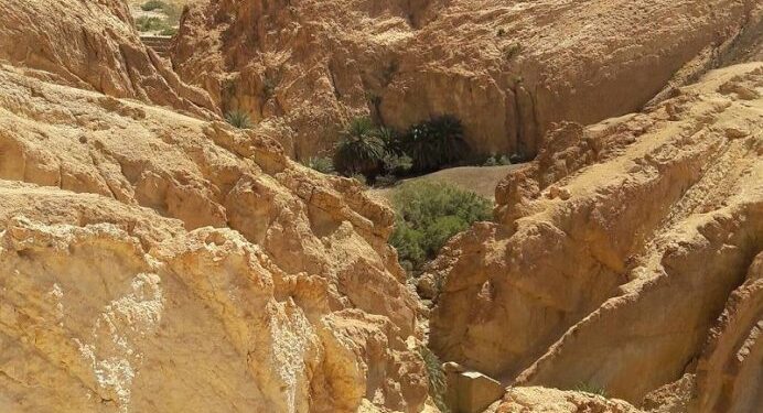 Evasion : Dans les méandres des oasis de montagne du sud-ouest tunisien