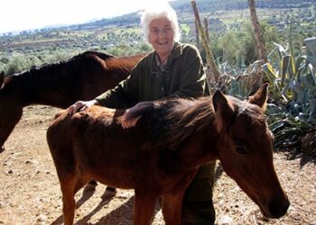 Gisela Bergmann, une Allemande, des chevaux, des lévriers et les forêts de Khroumirie