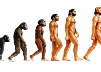 Turquie : La théorie de l’évolution de Darwin retirée des manuels scolaires