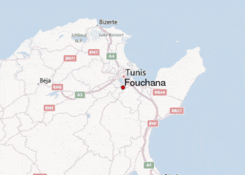 Un terroriste arr&ecirc;t&eacute; &agrave; Fouchana