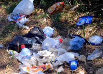 Quand les randonneurs laissent Oued El Abid dans un &eacute;tat lamentable ! (Photos)
