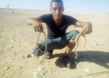 Tunisie : Poursuite du sit-in d'El-Kamour en d&eacute;pit des dangers !
