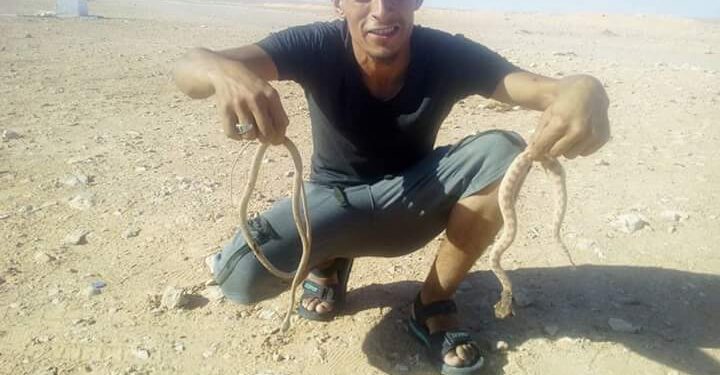Tunisie : Poursuite du sit-in d'El-Kamour en dépit des dangers !
