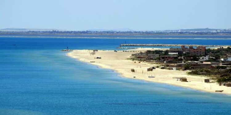Cette ann&eacute;e, aucune plage tunisienne labellis&eacute;e "Pavillon Bleu"