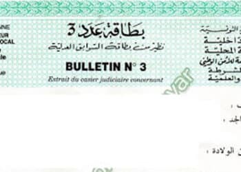 Les Bulletins N&deg;3 d&eacute;sormais disponibles en ligne pour tous les Tunisiens