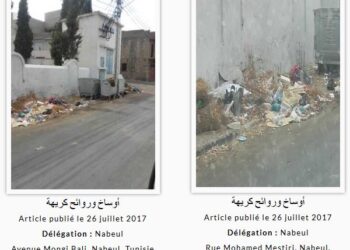 "SOS Nabeul", une application pour signaler les violations environnementales