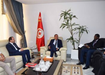 La Tunisie se penche sur les &eacute;tudiants subsahariens