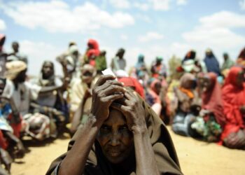 La Tunisie, pays africain o&ugrave; le niveau de famine est le plus bas
