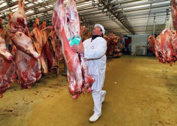 Kasserine : L&rsquo;abattoir municipal de Sbeitla ferm&eacute; pour manque d&rsquo;hygi&egrave;ne