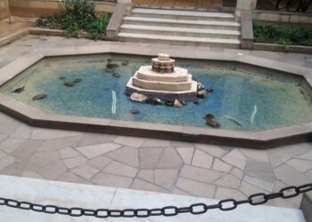 A Tunis, le petit jardin des Arcades est toujours là !