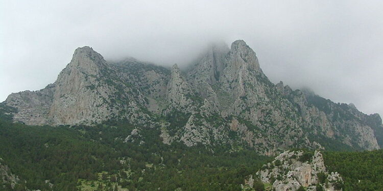 Du haut de Djebel Ressas, la montagne du Plomb...