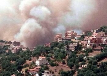 Algérie : Grands incendies sur les frontières tunisiennes