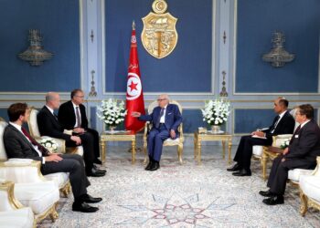 B&eacute;ji Ca&iuml;d Essebsi re&ccedil;oit une d&eacute;l&eacute;gation du Forum de Davos