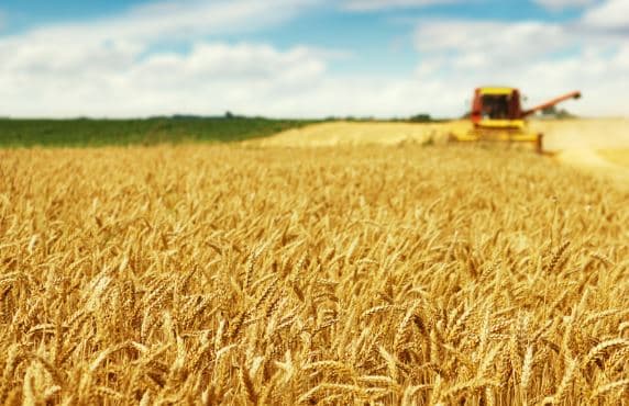 La Tunisie va intensifier l&rsquo;exportation des produits agricoles