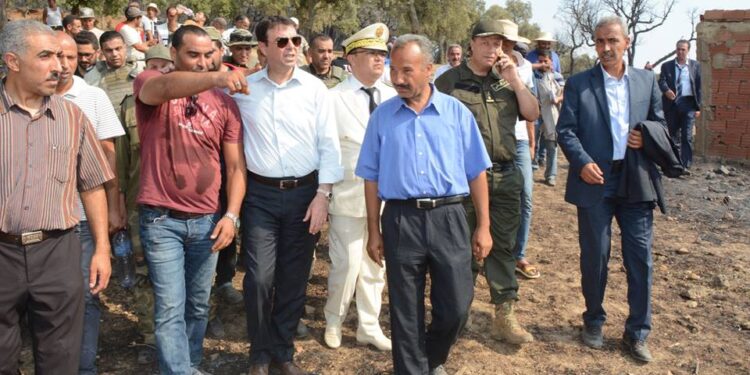 Une délégation gouvernementale visite les régions ravagées par les incendies à Jendouba