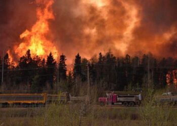 Algérie : Des hélicoptères, mille sapeurs-pompiers et des bénévoles pour combattre le feu à El Tarf